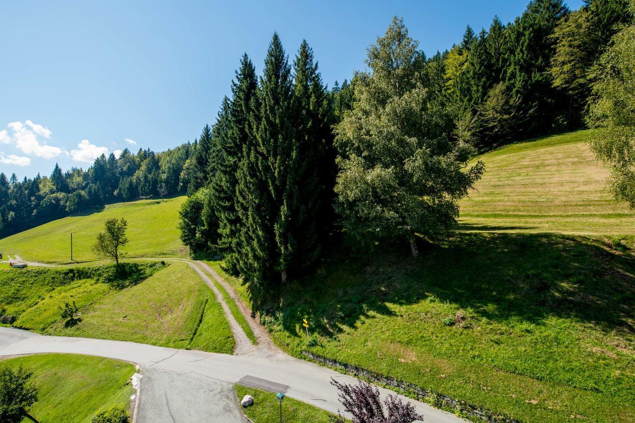 Panoramahotel Hauserhof Hermagor Buitenkant foto